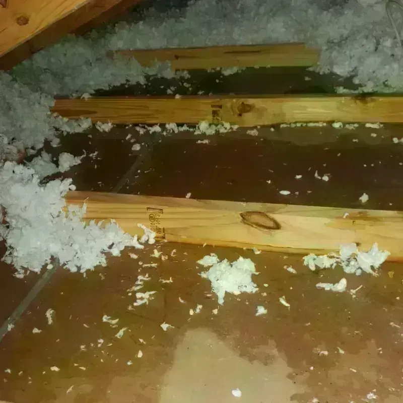 Attic Water Damage in Calico Rock, AR